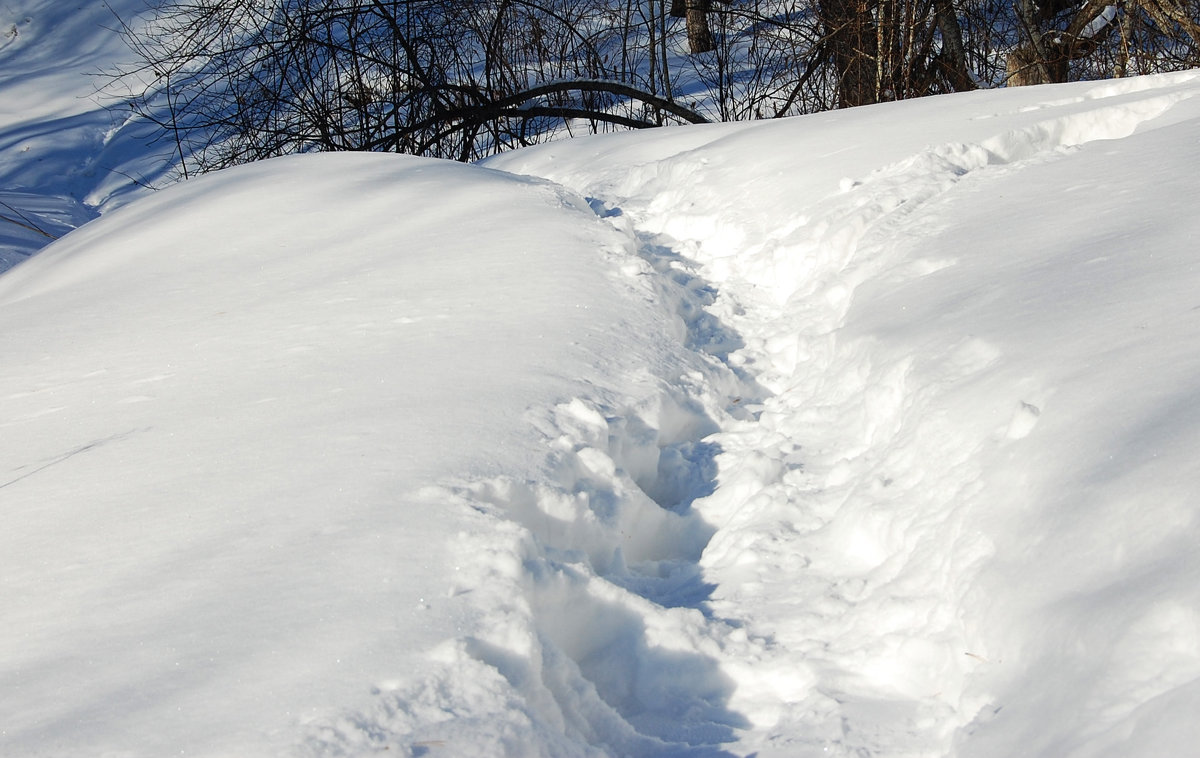 Тропа снежного человека - Arcadii Mayrhofen 