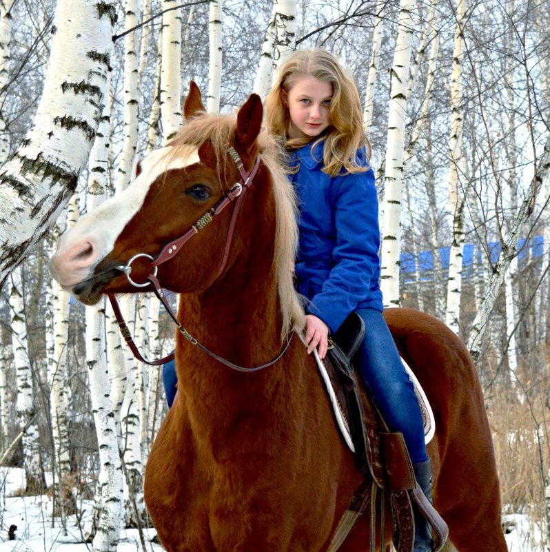 Фото  с лошадкой - Ольга Сусанова