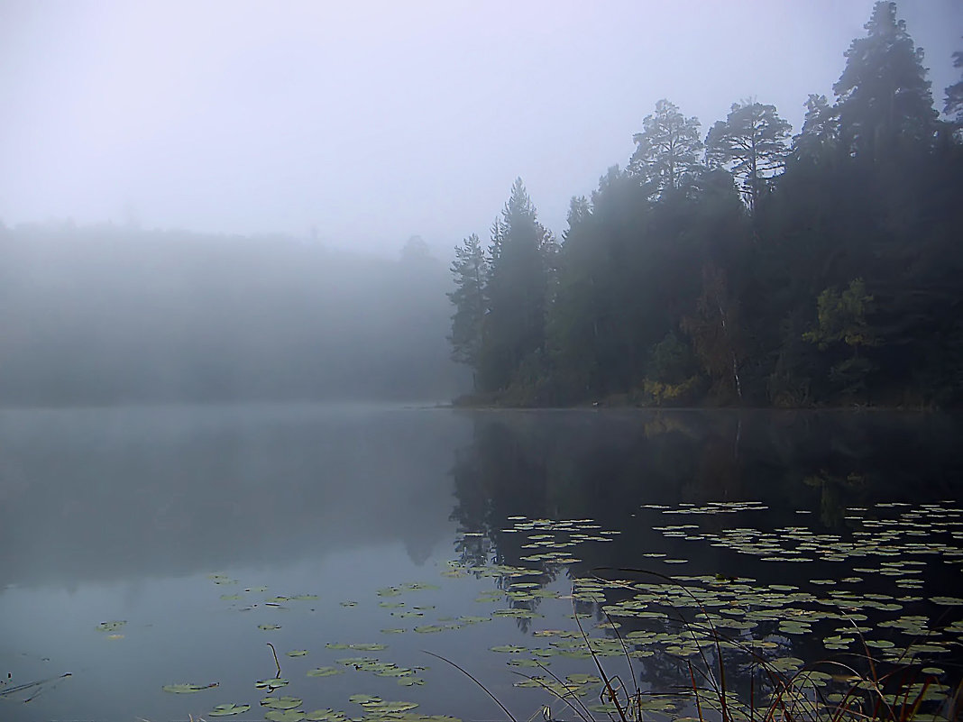 Утренний туман над озером! - Андрей Образцов