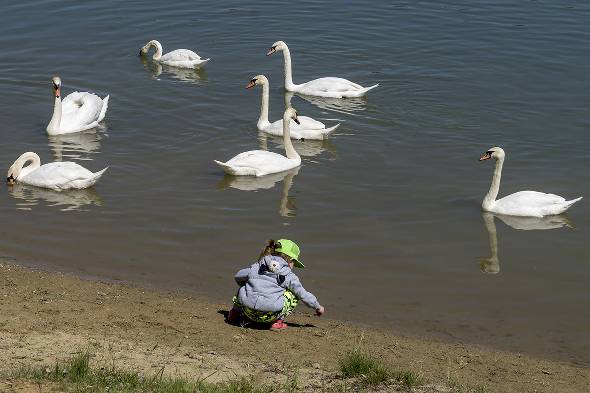 На городском водохранилище - Игорь Сикорский