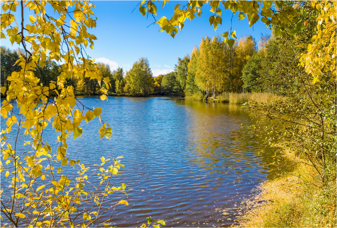 Осенний уголок парка - Виталий 