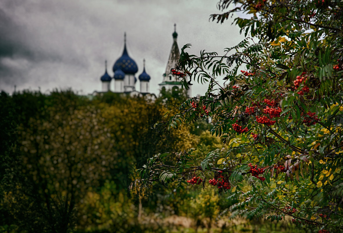 RUSSIA - Vladislav 