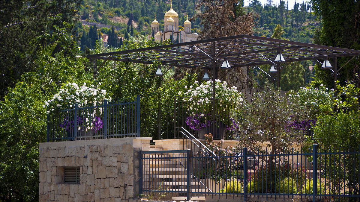 Вид на Православный Горненский женский монастырь.Иерусалим. Израиль. - Алла Шапошникова