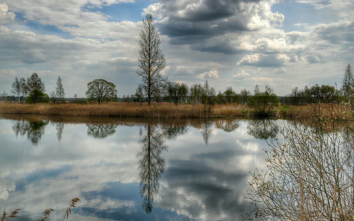 Зеркальное отражение в озере - Милешкин Владимир Алексеевич 