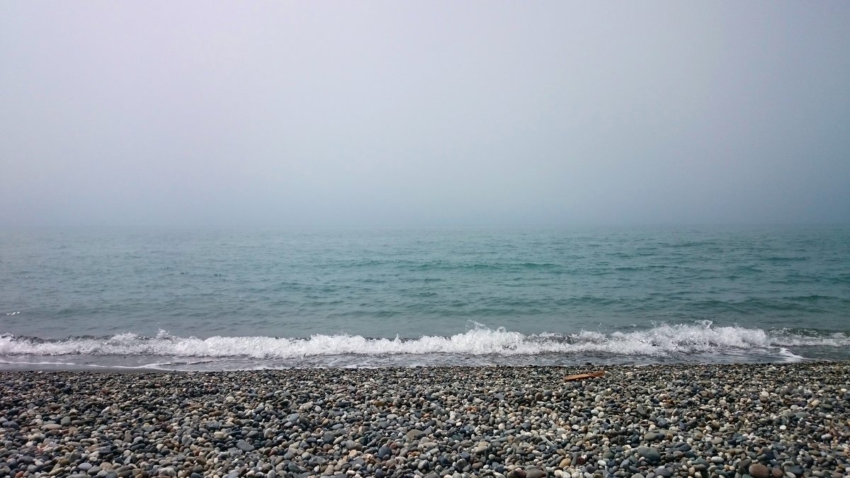 Туман с моря - Елена Волгина