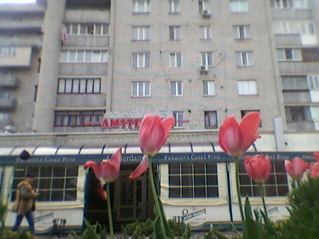 Весна в Украине! - Миша Любчик