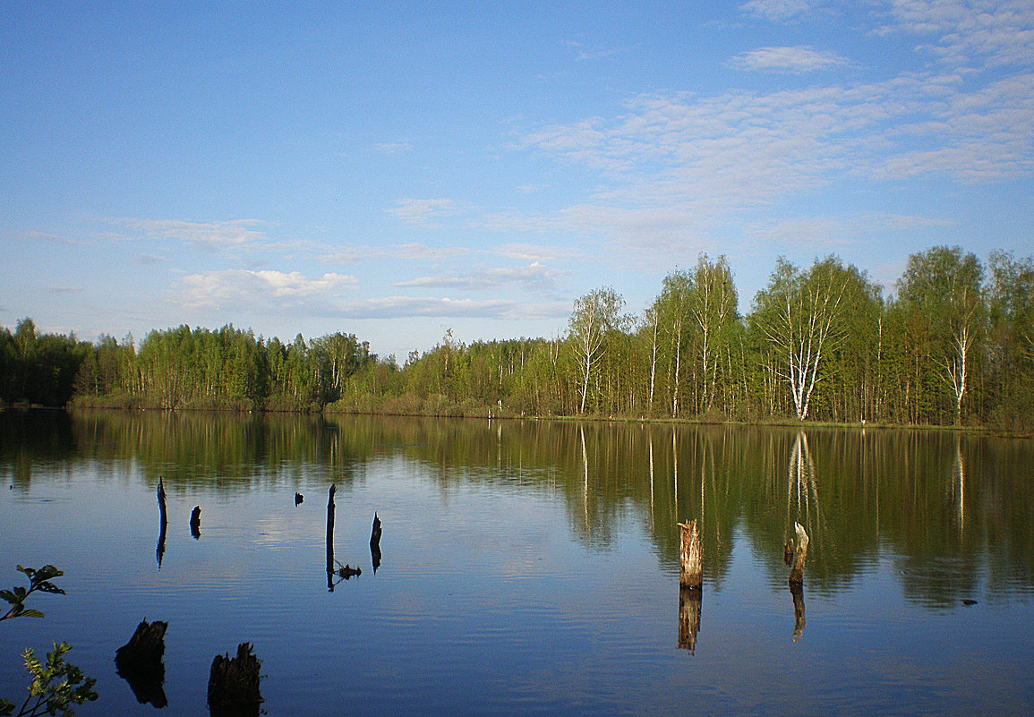 колдовское озеро... - александр дмитриев 