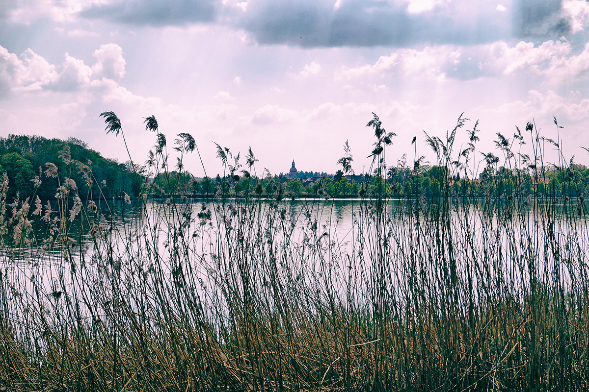 Schloss Moritzburg - Alex 