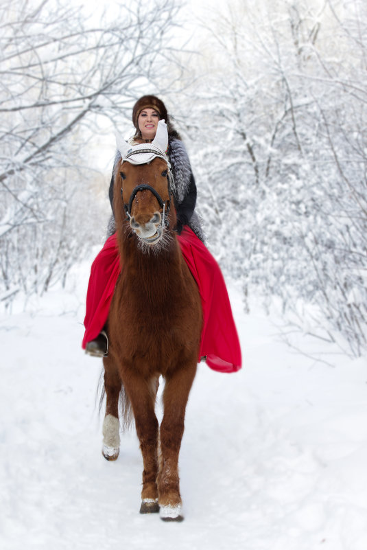 Девушка с лошадью - Анна Кондратенко