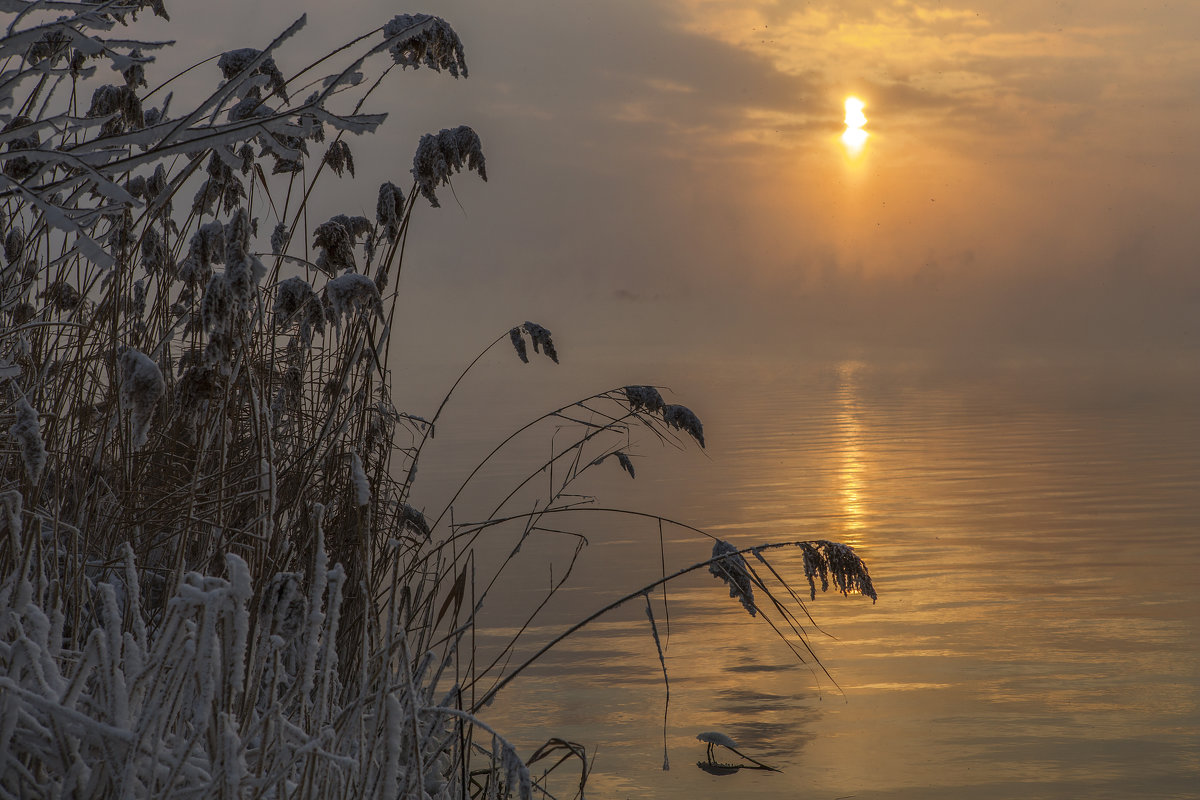 *** - Юрий Клишин