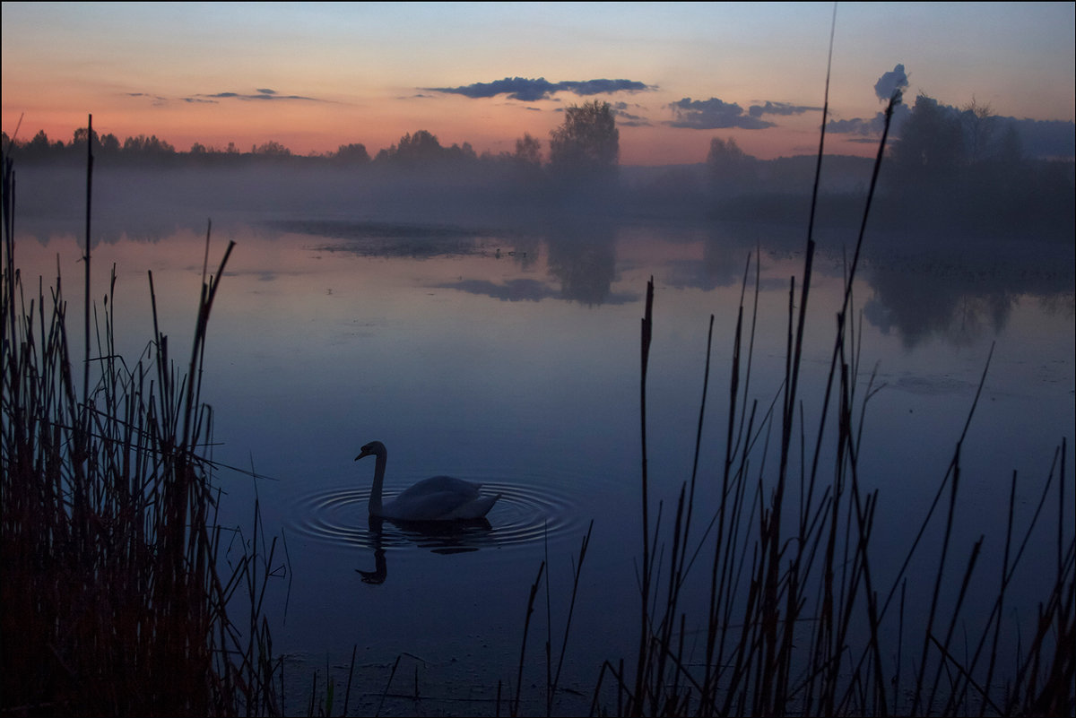 Вечер на озере - Елена Ерошевич