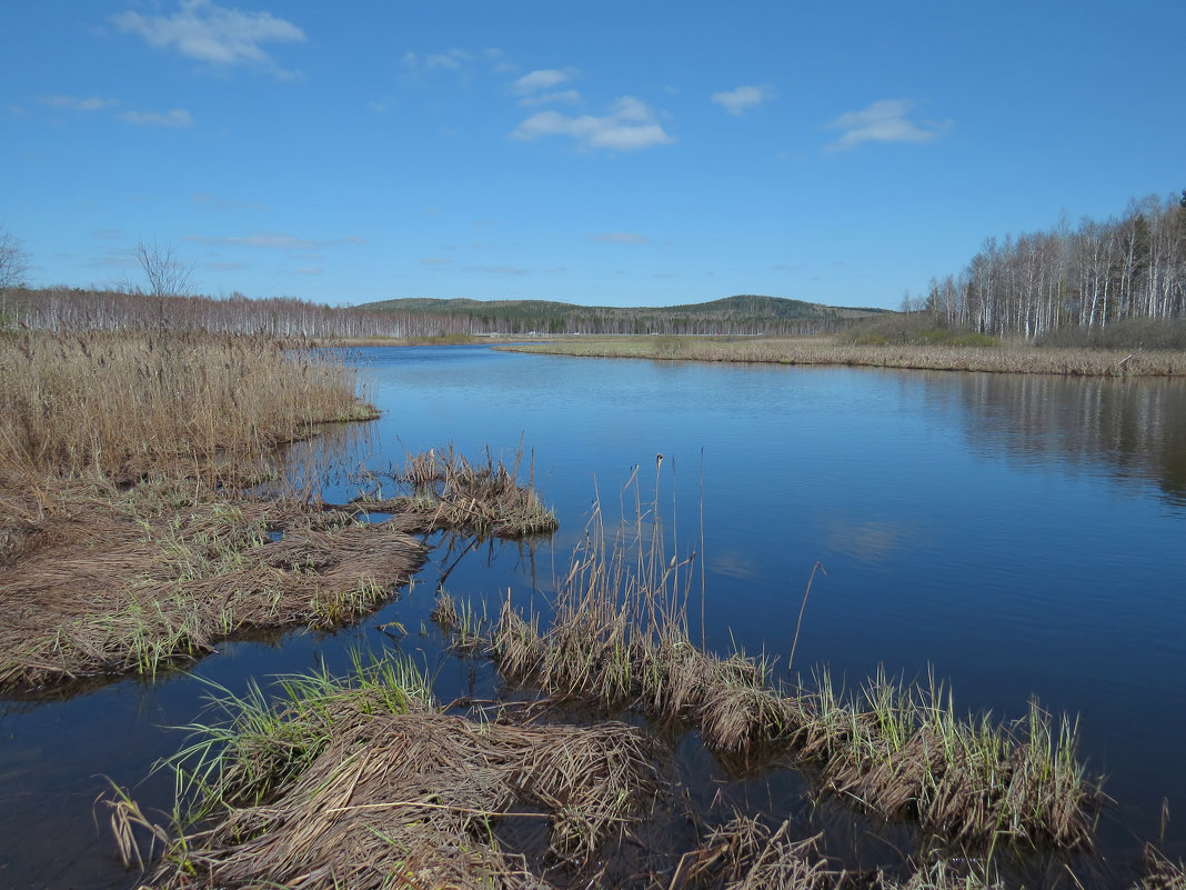 --- - Александр Смирнов