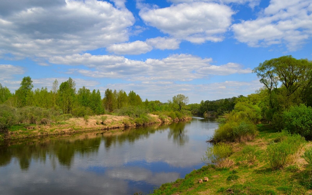 Река Днепр Смоленская область