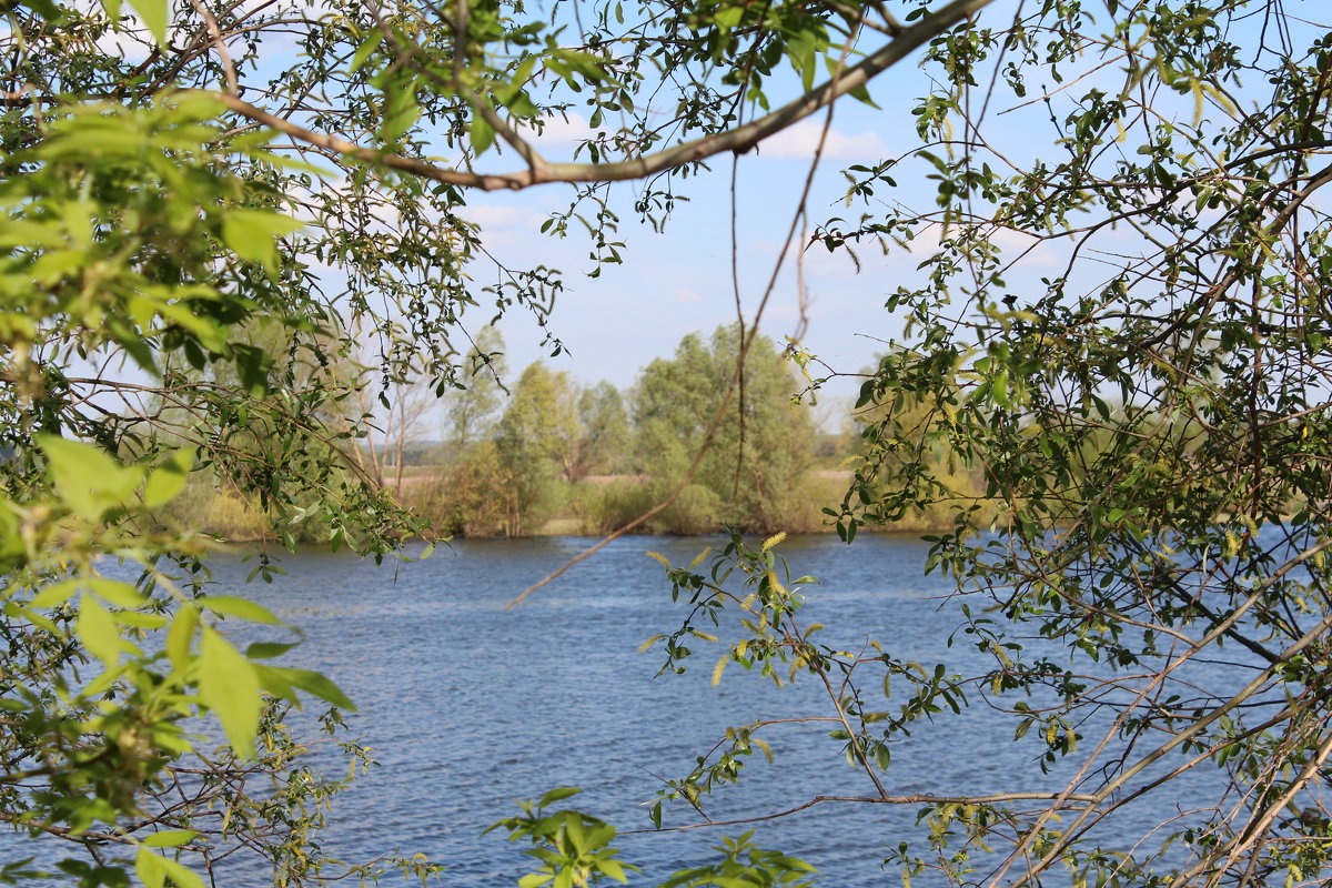 Тихое местечко на реке Мёше - Марина Шахова