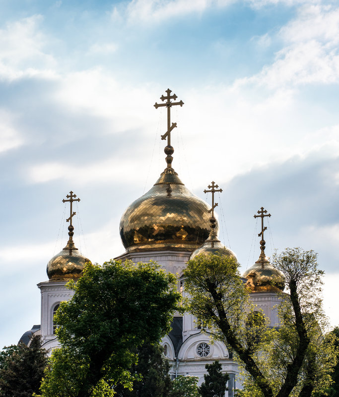 Войсковой собор князя Александра Невского - Руслан .