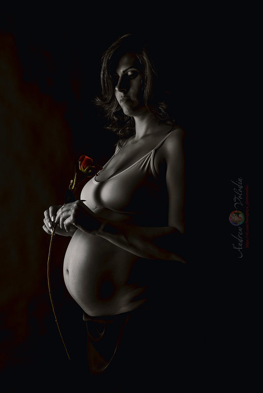 Беременная с розой - Андрей Володин