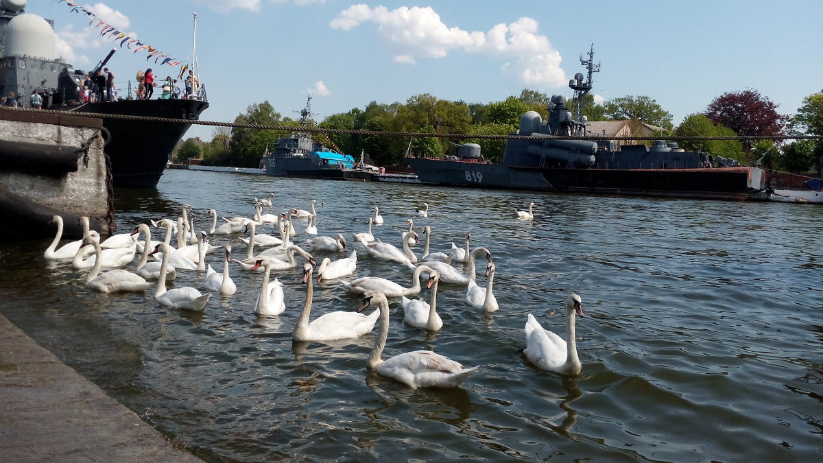 Балтийск.База ВМФ России. - Владимир Старовойтов