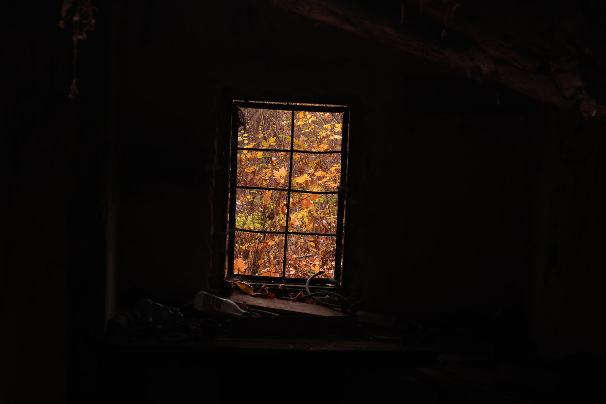 Осень за окном - Владислав Ходий