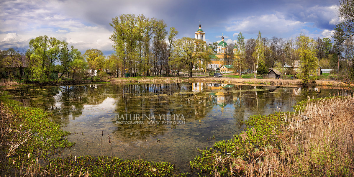 Весенний день на берегу пруда - Юлия Батурина