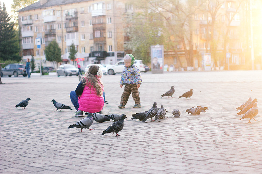 Голуби и дети - Tanya Datskaya