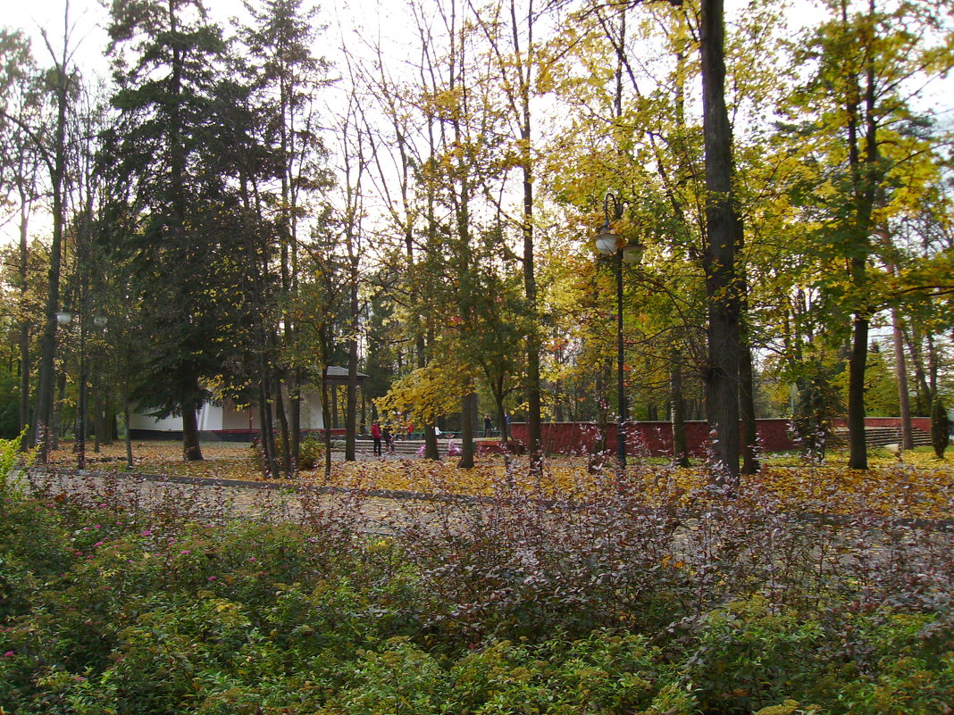 Осень  в  Ивано - Франковском  парке - Андрей  Васильевич Коляскин
