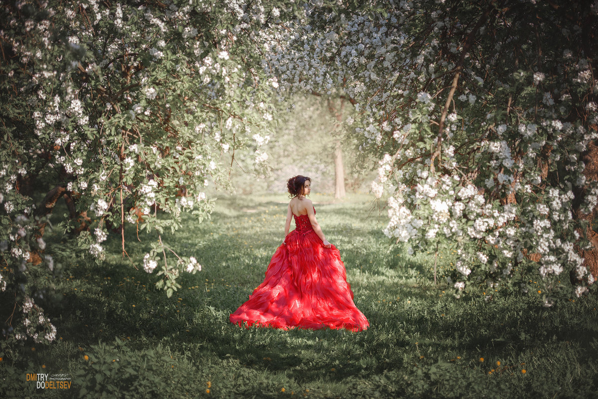 В яблоневом саду... - Дмитрий Додельцев