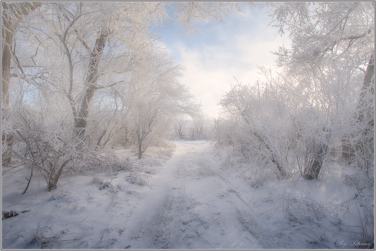 Зимние прогулки - Сергей Литвинов