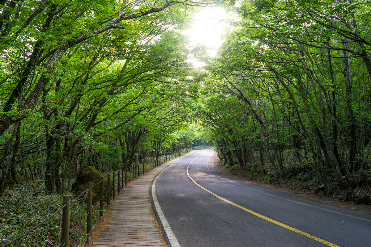 Jeju Road - Илья Меркулов