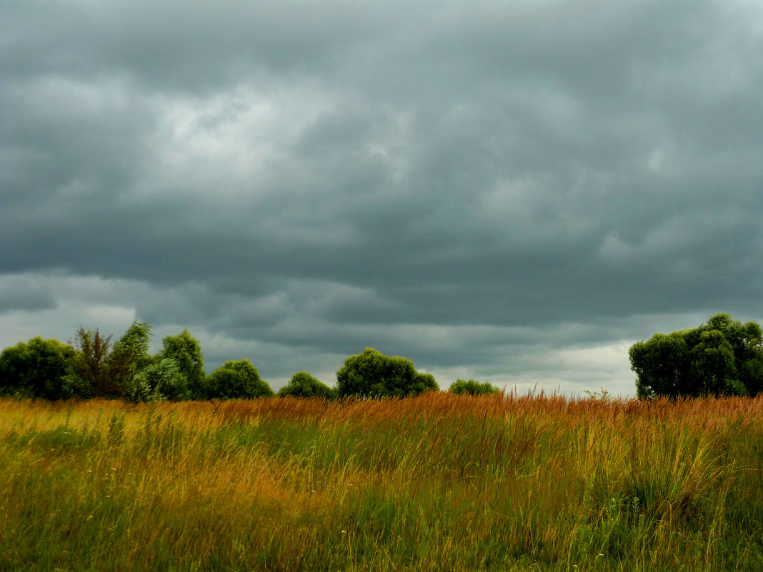 Пейзаж с грозовыми облаками. - Александр Атаулин