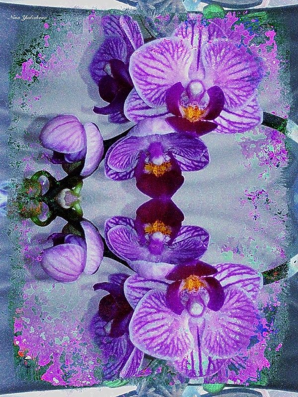 Орхидея - Nina Yudicheva
