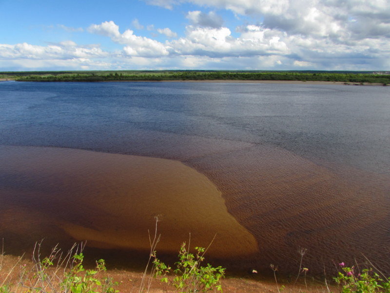 Река Мезень - Александра Карпова