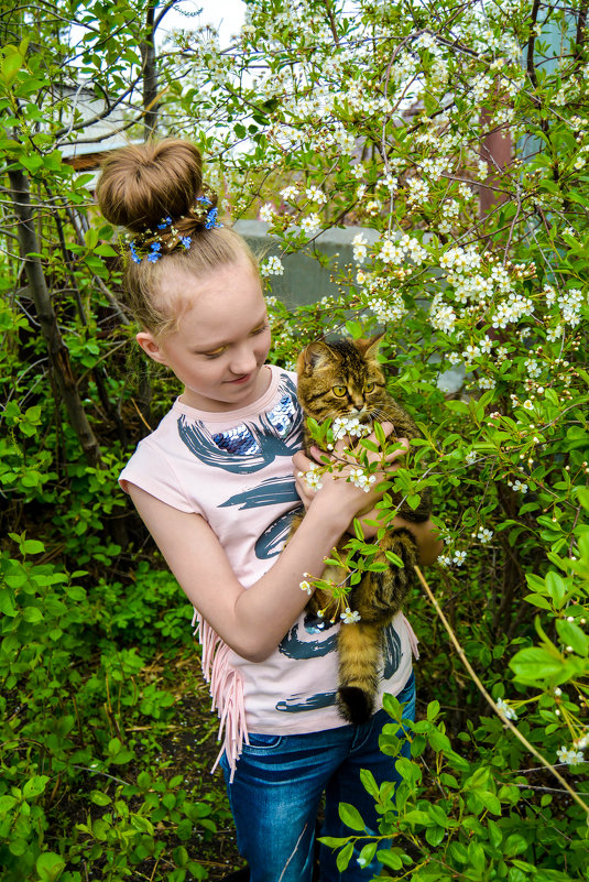 показывает кошки цветы - Света Кондрашова