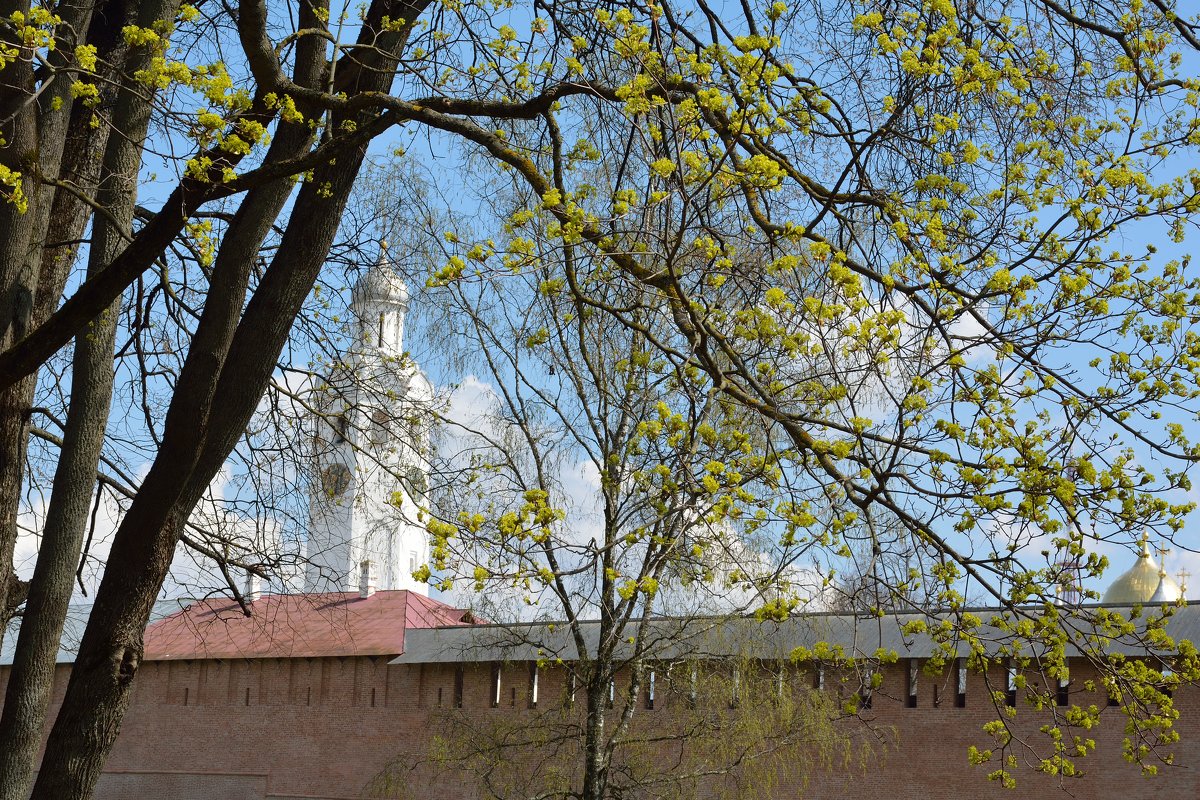 Весна в Новгородском кремле - Константин Жирнов