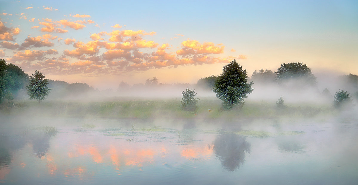 Красивые летние картинки с добрым утром (97 картинок) - ФУДИ