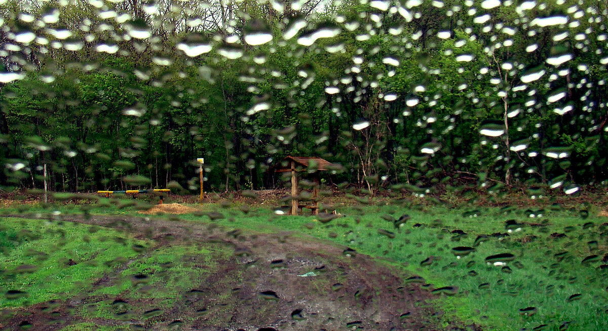 Весенний дождь - Леонид Железнов