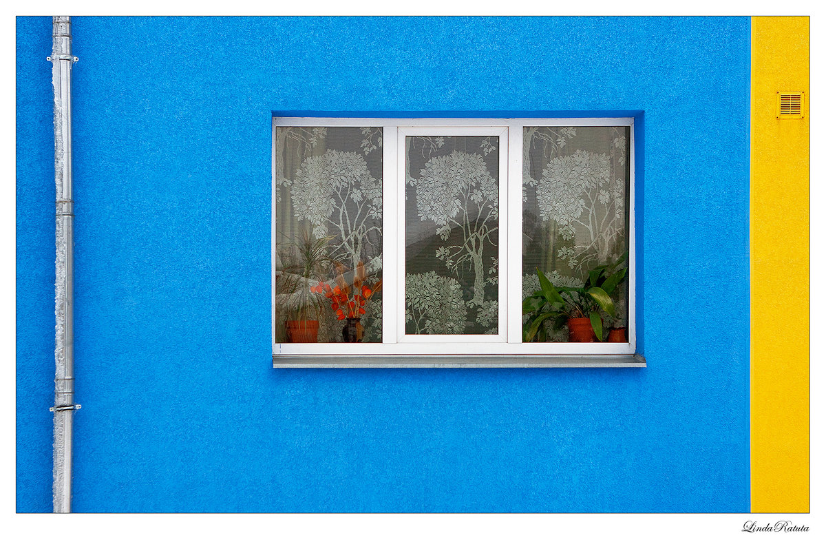 blue window - Linda Ratuta