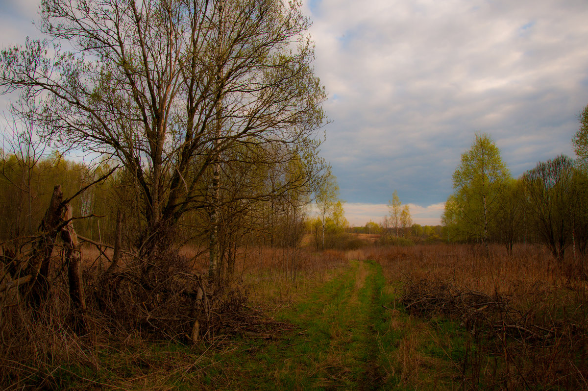 Весна на окраине заброшенной деревни - Alexander Petrukhin 