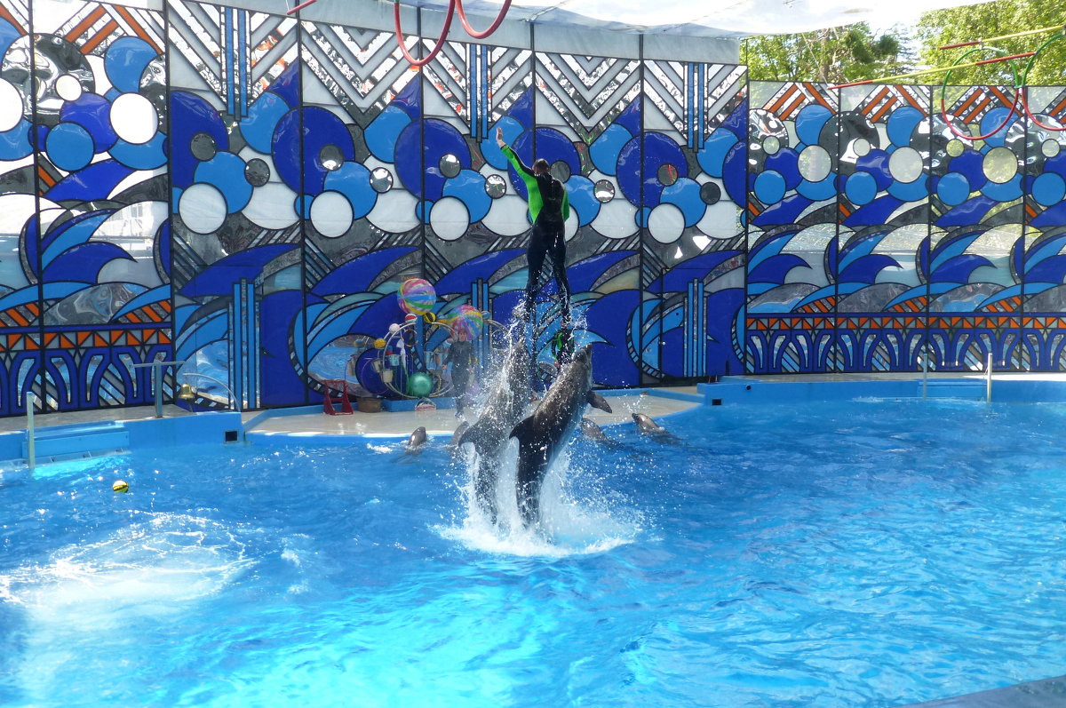 Большой Сочинский Дельфинарий в парке «Ривьера» - Наиля 