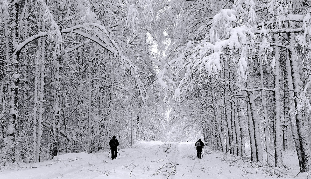 Зима была снежной - Николай Белавин