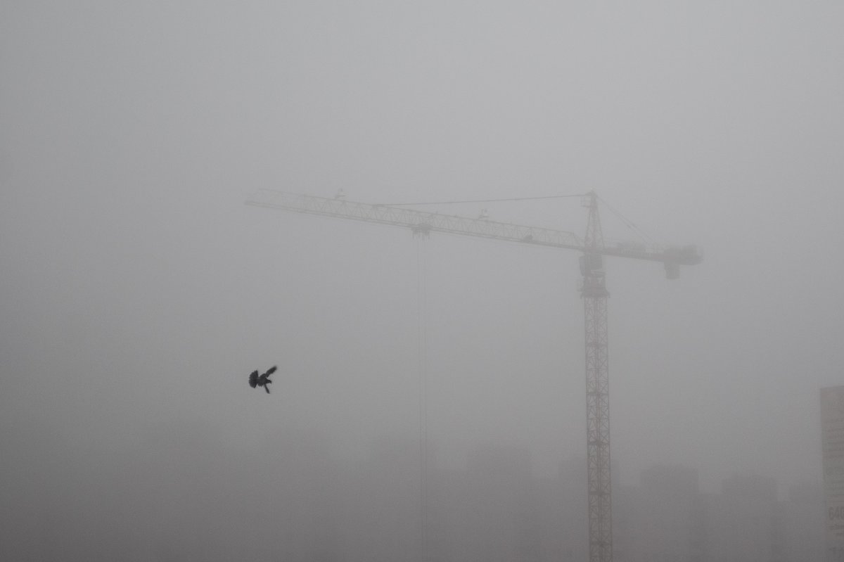 летящий в тумане - Юрий Киреев