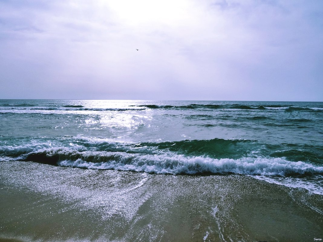 Морской пейзаж - wea *