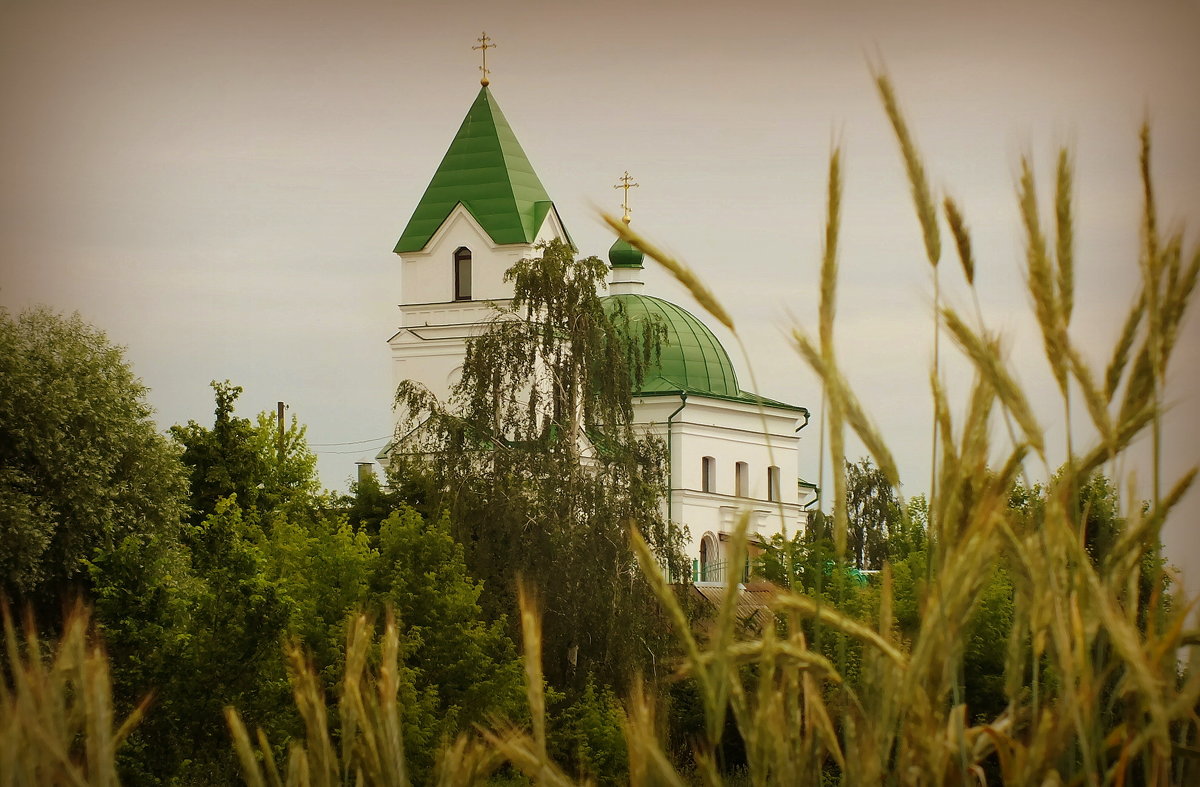 Храм в пригороде Гомеля - Александр Прокудин