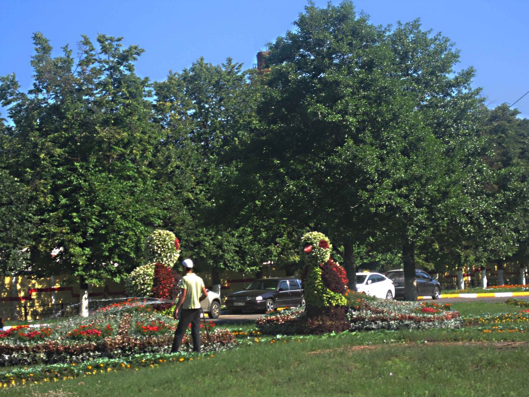 Украшения моего города - Елена Семигина