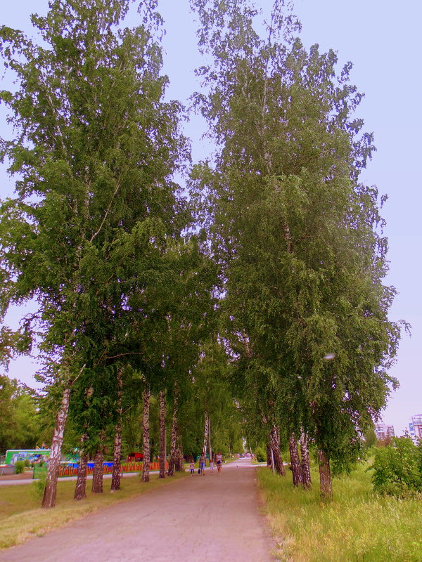 В парке городском . - Мила Бовкун