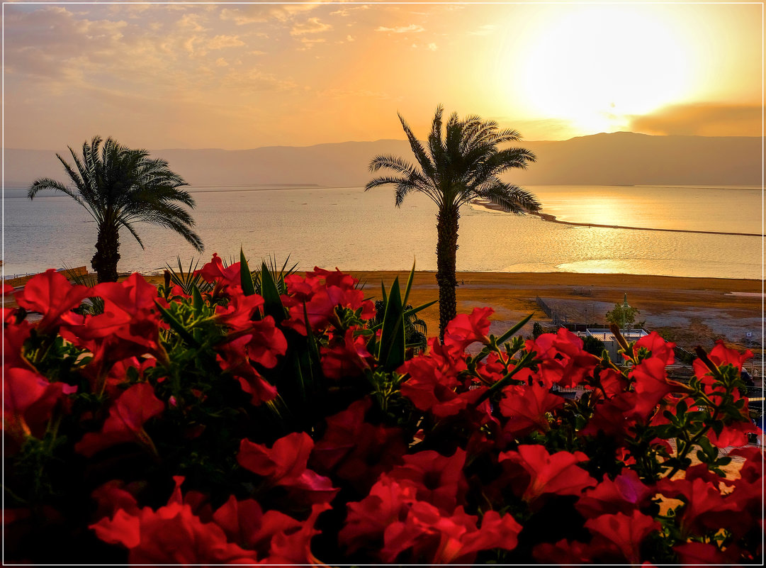 Sunrise at the Dead Sea - Alexander Hersonski