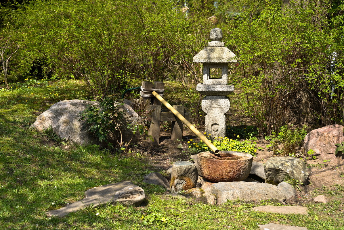 Японский сад - Владимир Брагилевский