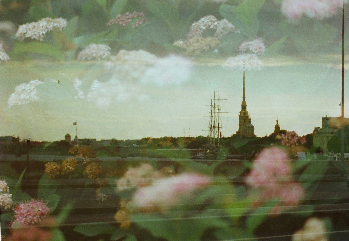 Город цветов - Ivan Zaytcev