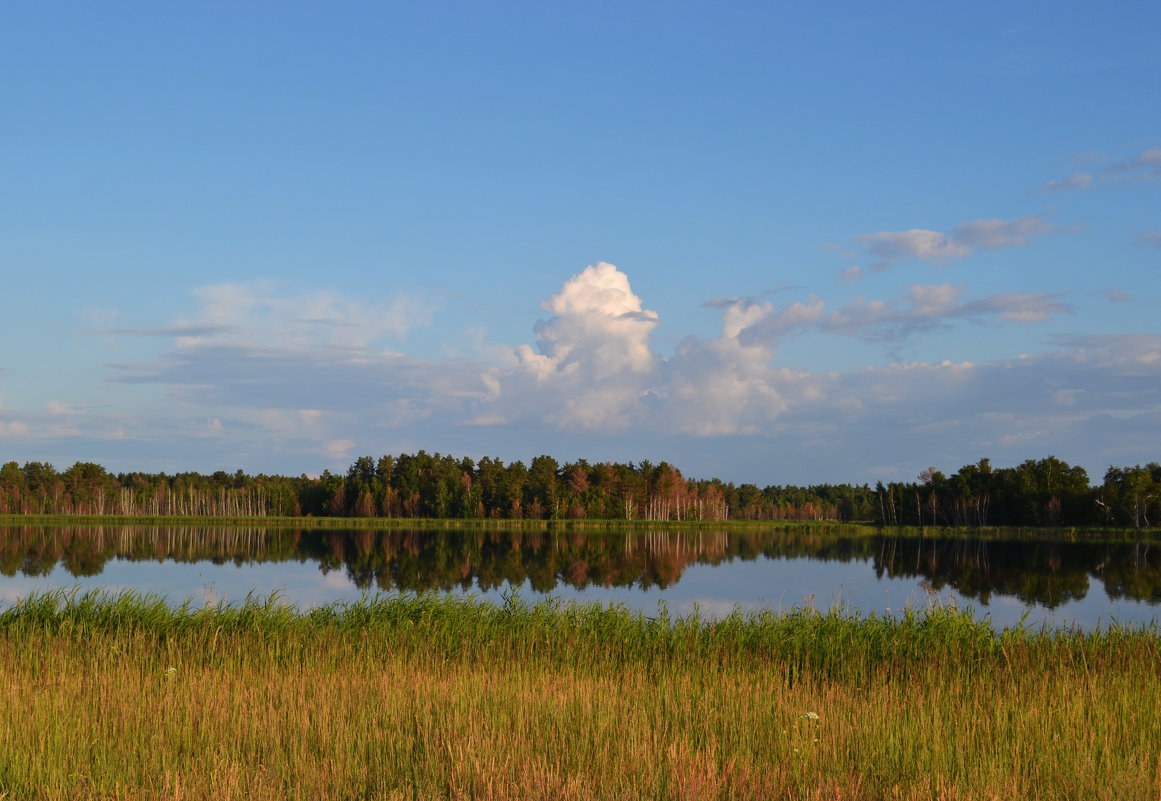 Зеркальное озеро - Анастасия Михалева