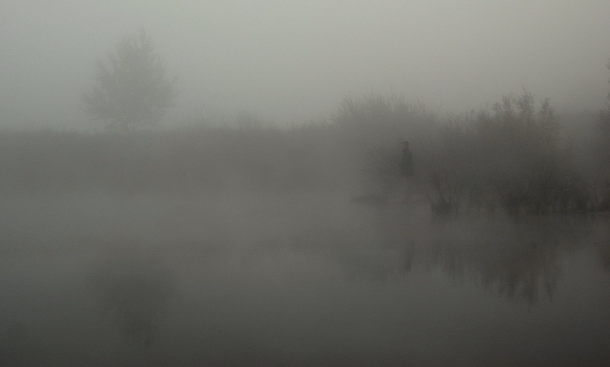 Рыбак в тумане - Nikola 