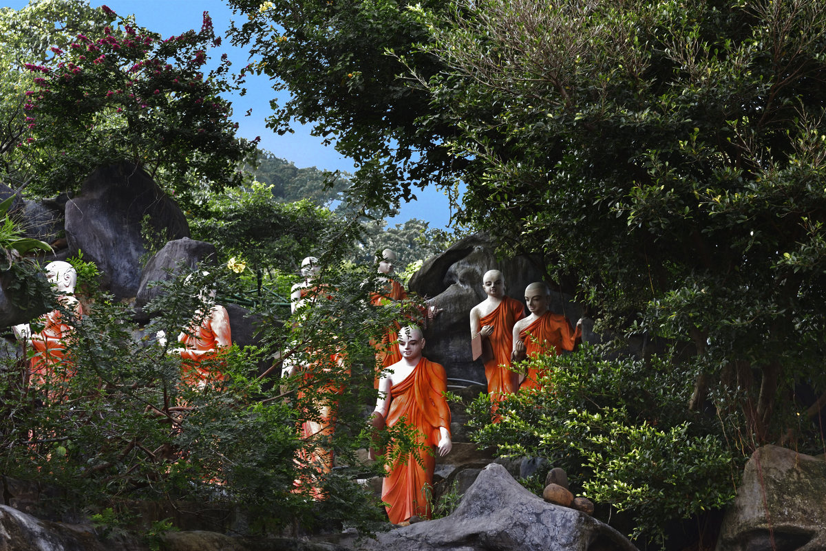 Дамбулле. Шествие нездешних. Dambulla. Procession otherworldly. - Юрий Воронов